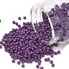 MIYUKI Round Rocailles Beads X-SEED-G008-RR4490-1