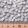 6/0 Glass Seed Beads SEED-US0003-4mm-121-3