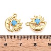 Brass Micro Pave Cubic Zirconia Charms KK-N263-94B-G-3