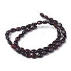 Natural Brecciated Jasper Bead Strands G-Z006-A10-3