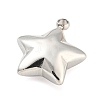 Non-Tarnish 304 Stainless Steel Charms STAS-P333-08P-2