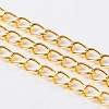 Iron Side Twisted Chain CH-DK0.9-G-FF-1