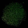 Luminous Glass Seed Beads X1-SEED-A033-07N-5
