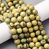 Natural Verdite Stone Beads Strands G-C242-03-8mm-1