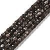 Natural Silver Sheen Obsidian Beads Strands G-D467-A01-1