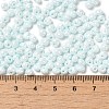 6/0 Glass Seed Beads X1-SEED-M012-01A-13-4