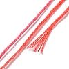 10 Skeins 6-Ply Polyester Embroidery Floss OCOR-K006-A40-3
