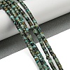 Natural African Turquoise(Jasper) Beads Strands G-C084-D03-02-2