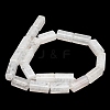 Natural Agate Beads Strands GG-L001-H01-02J-4