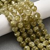 Natural Lepidolite Beads Strands G-F799-B02-10mm-1