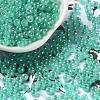 Glass Seed Beads X1-SEED-H002-E-A1417-1