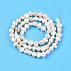 Natural Cultured Freshwater Pearl Beads Strands PEAR-N014-03C-3