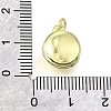 Brass Pendants KK-V007-18G-3