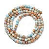 Natural Imperial Jasper Beads Strands G-L578-A14-5