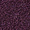 MIYUKI Round Rocailles Beads X-SEED-G007-RR0313-3