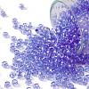 TOHO Round Seed Beads SEED-JPTR08-0168-1