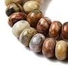 Natural Crazy Agate Beads Strands G-G102-C11-01-4
