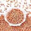 Picasso Glass Seed Beads SEED-N012-10C-2