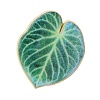 Leaf Enamel Pins JEWB-S040-01A-G-1