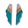 Transparent Resin & Walnut Wood Big Pendants RESI-M027-09J-1