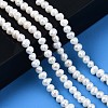 Natural Cultured Freshwater Pearl Beads Strands LS-PEAR-N013-04A-5