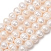 Natural Cultured Freshwater Pearl Beads Strands PA-CBABE82-09B-2