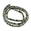 Natural African Turquoise(Jasper) Beads Strands G-N342-83-3