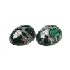 Natural Malachite Cabochons G-E464-42Q-3