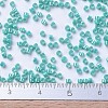 MIYUKI Delica Beads SEED-J020-DB0166-3