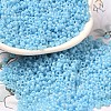 Baking Paint Glass Seed Beads SEED-P006-03A-26-1