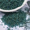 MIYUKI Delica Beads X-SEED-J020-DB2381-1