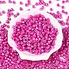 Baking Paint Pearlized Glass Seed Beads SEED-T008-03N-2