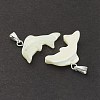 Natural Trochid Shell/Trochus Shell Pendants SSHEL-K027-14-2