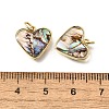 Natural Paua Shell & Epoxy Resin Charms KK-E794-02G-05-3