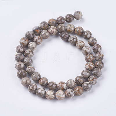 Natural Maifanite/Maifan Stone Beads Strands G-I187-10mm-01-1