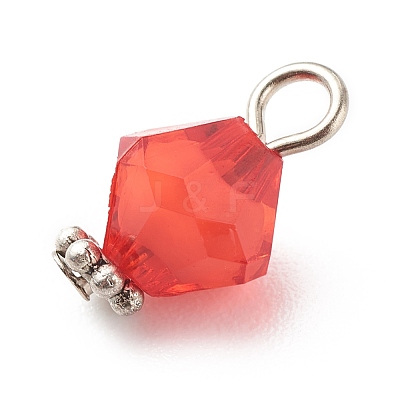 Transparent Acrylic Charms PALLOY-JF01744-1