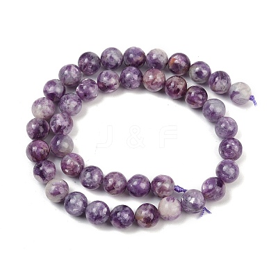 Natural Lepidolite Beads Strands G-U026-A06-10mm-1
