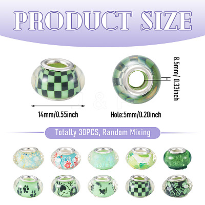 30Pcs Printed Transparent Resin European Beads RESI-TADJ0001-03I-1