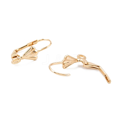 304 Stainless Steel Leverback Earring Findings LS-STAS-K218-08G-1