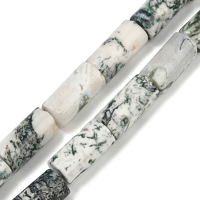 Natural Tree Agate Beads Strands G-U018-B03-01-1