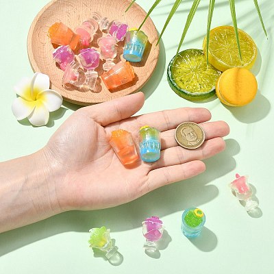 30Pcs 5 Styles Resin Display Decorations DJEW-CJ0001-15-1