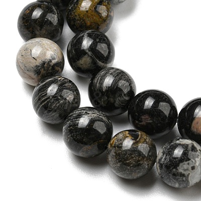 Natural Black Silver Leaf Jasper Beads Strands G-R494-A17-03-1