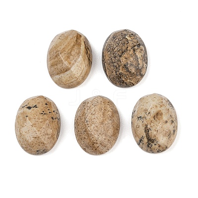 Natural Picture Jasper Cabochons G-Q186-01B-1