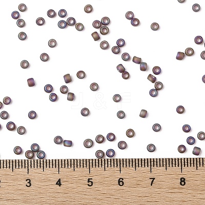 TOHO 8/0 Round Beads X-SEED-TR08-0166CF-1