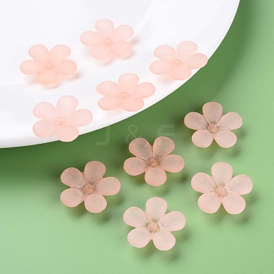Transparent Acrylic Beads MACR-S373-116-D10-1