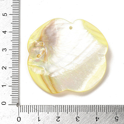 Dyed Natural Shell Carved Pendants BSHE-G040-01B-1