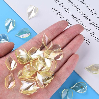 Transparent Acrylic Beads MACR-S373-103-C-1