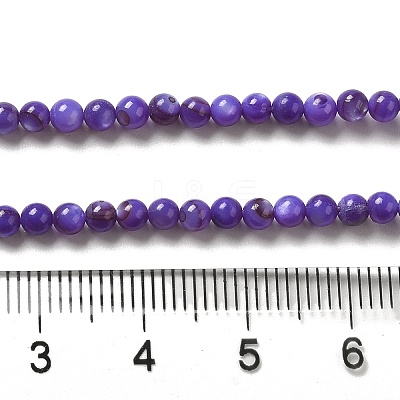 Natural Freshwater Shell Beads Strands SHEL-H003-03B-1