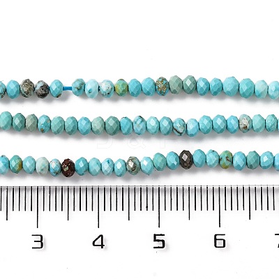 Natural Howlite Beads Strands G-H025-03B-01-1