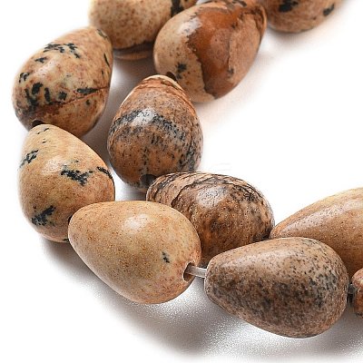 Natural Picture Jasper Beads Strands G-B106-A18-02-1